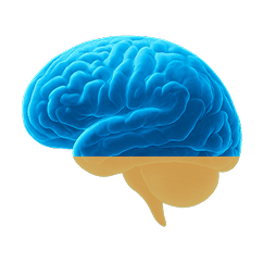 Icon representing 30 days of usage