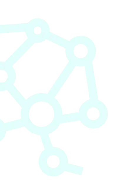 Ilustrativní obrázek pavučiny